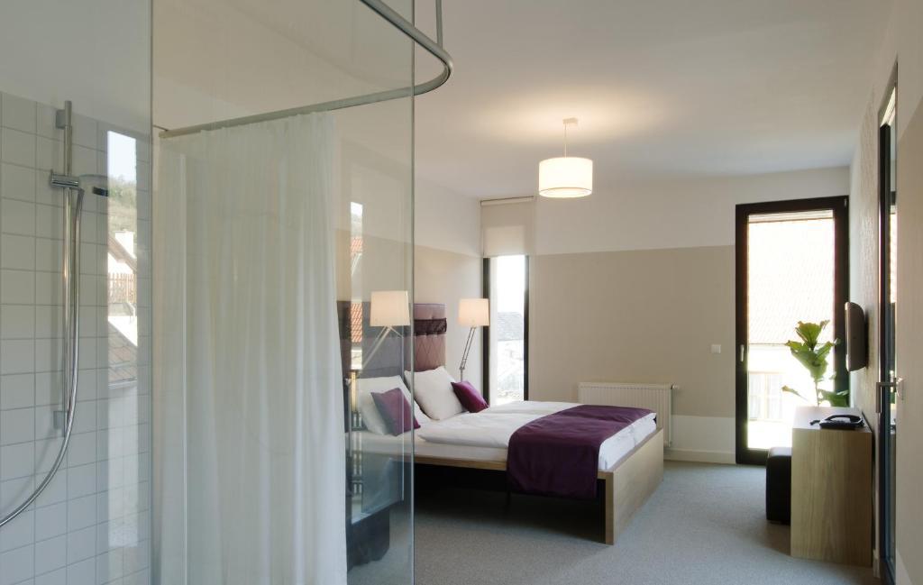 Hotel Zur Schonenburg Schonberg am Kamp Номер фото